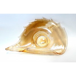 GLASS patera muszla 25 cm