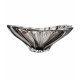 Misa kryształowa 330 mm Bohemia Plantica Grey